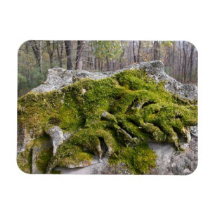 Mossy Broken Headstone Magnet
