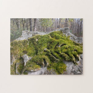 Mossy Broken Headstone Puzzle