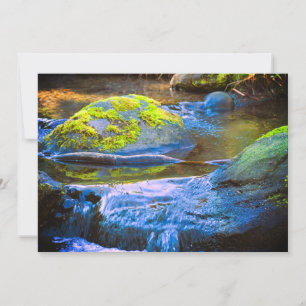 Mossy Creek Wasserfall Einladung
