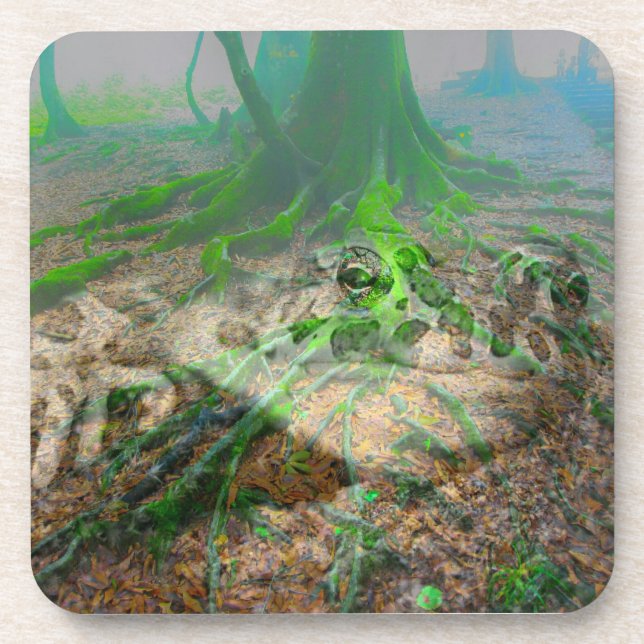 Mossy Frog Getränkeuntersetzer (Vorderseite)