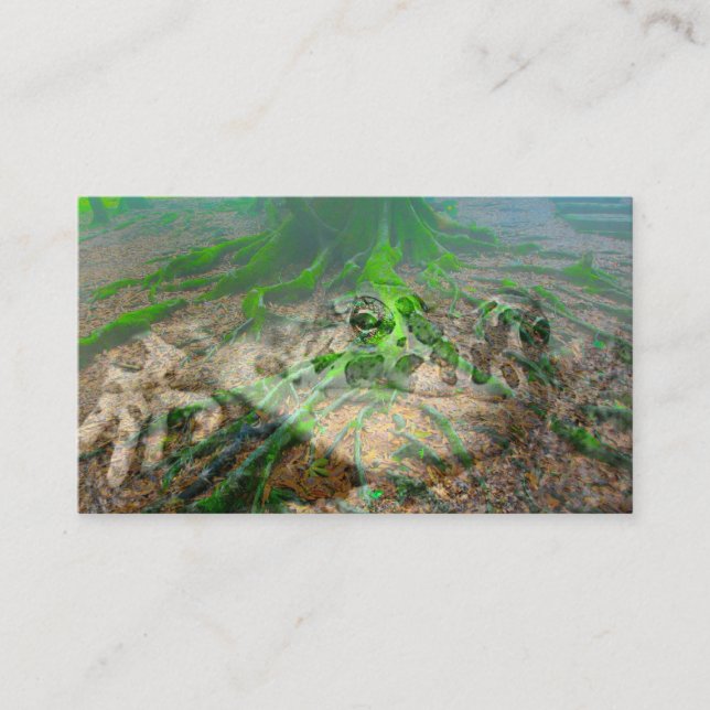 Mossy Frog Visitenkarte (Vorderseite)