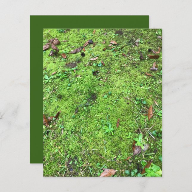 Mossy Green Woodlands Scrapbook Paper (Vorne/Hinten)