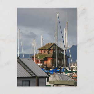 Mossy Habour Postkarte