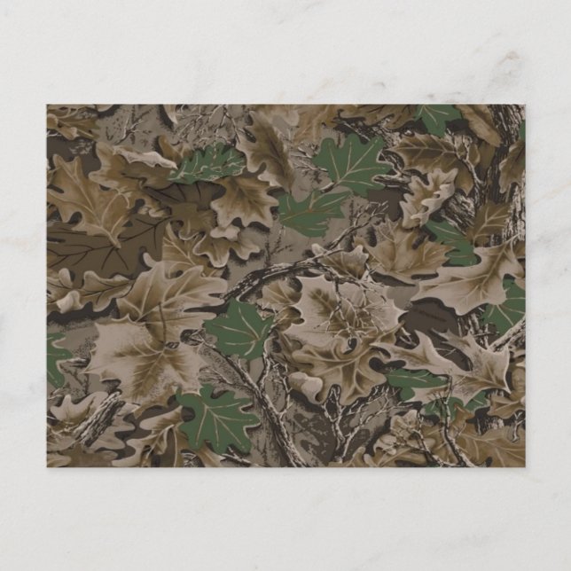 Mossy Oak Postcard Postkarte (Vorderseite)