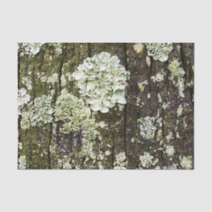 Mossy Oak Trunk Seidenpapier