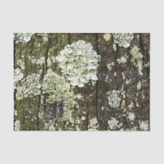 Mossy Oak Trunk Seidenpapier