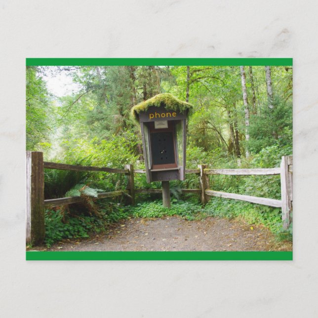 Mossy Phone Booth - Hoh Rain Forest Postkarte (Vorderseite)