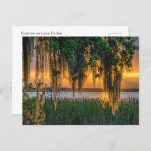 Mossy Sunrise Postkarte