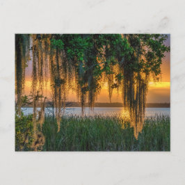 Mossy Sunrise Postkarte