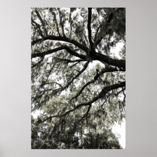 Mossy Textures 1 Poster