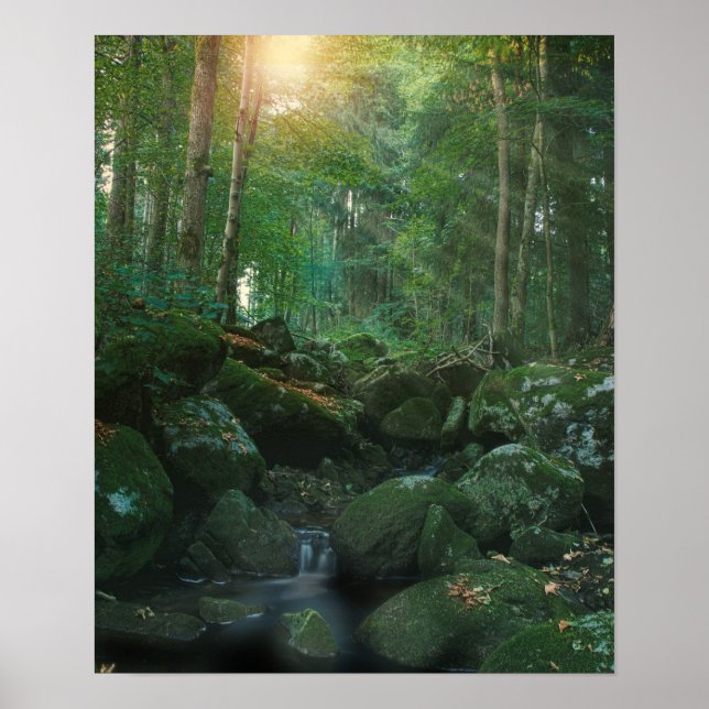 Mossy Woodland Stream Poster (Vorne)