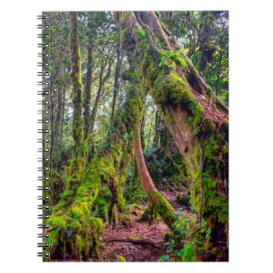 Mosy Wald Notizblock