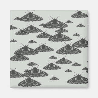 Moth am Abend lauert um Mitternacht Magnet