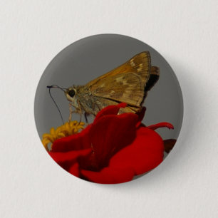 Moth Button