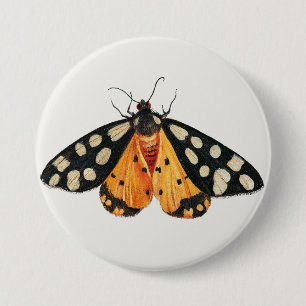 Moth Button