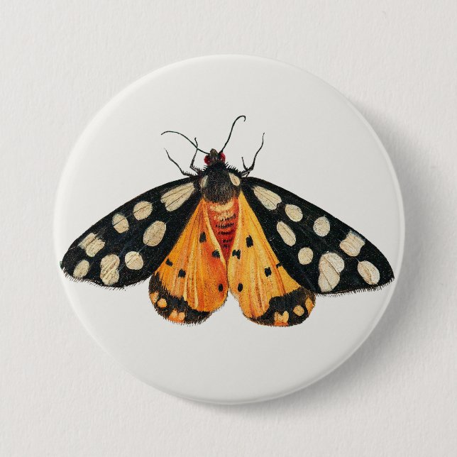Moth Button (Vorderseite)