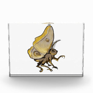 Moth Fotoblock