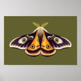 Moth Insect Art Goblincore Saturnia Witchy Green Poster