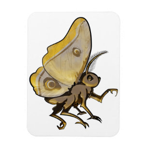 Moth Magnet