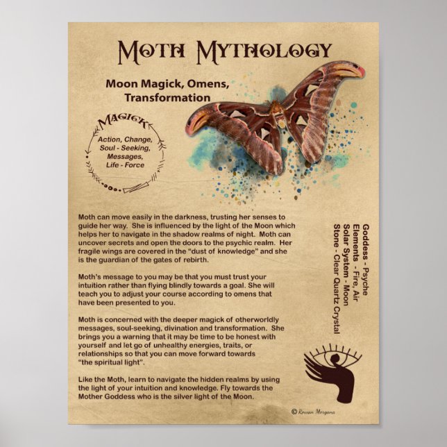 MOTH MYTHOLOGY POSTER (Vorne)