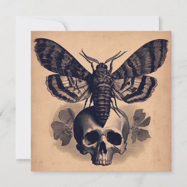 Moth on Skull Antique Goth Horror Illustration Karte (Vorderseite)