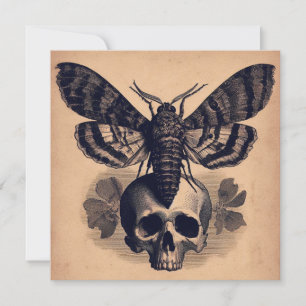 Moth on Skull Antique Goth Horror Illustration Karte