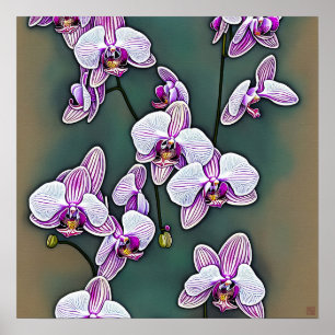 Moth Orchid - Leinwand Art Print Poster