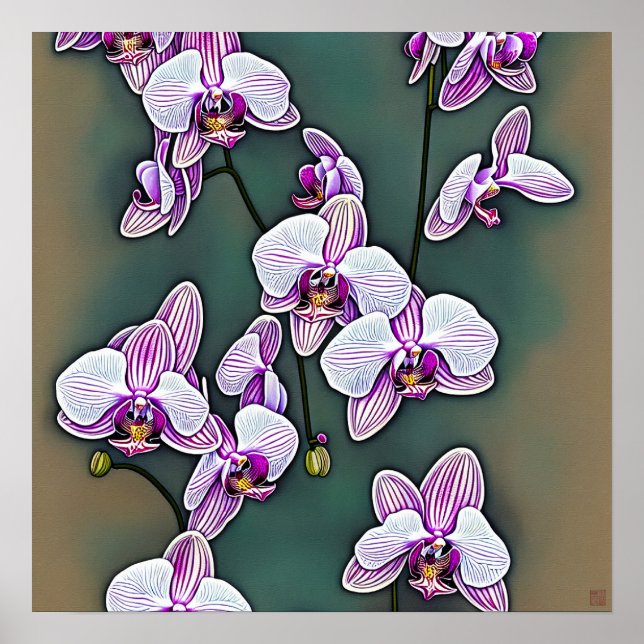 Moth Orchid - Leinwand Art Print Poster (Vorne)