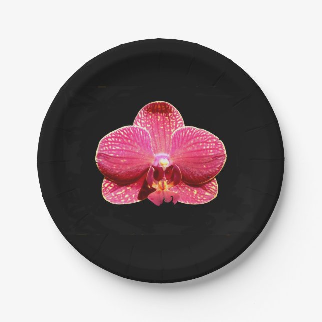 Moth Orchid Paper Plate Pappteller (Vorderseite)