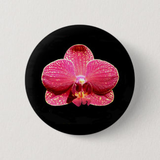 Moth-Orchideen-Abzeichen Button
