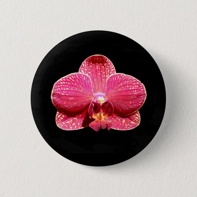 Moth-Orchideen-Abzeichen Button (Vorderseite)