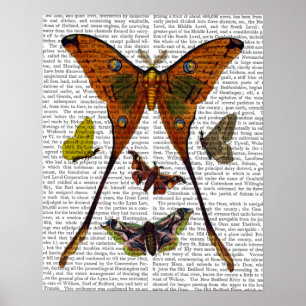Moth Plate 2 Poster