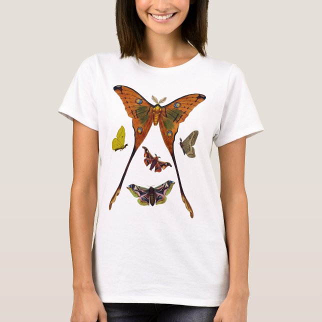 Moth Plate 2 T-Shirt (Vorderseite)