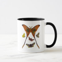 Moth Plate 2