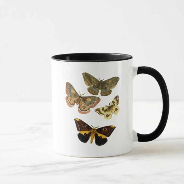 Moth Plate 4 Tasse (Rechts)
