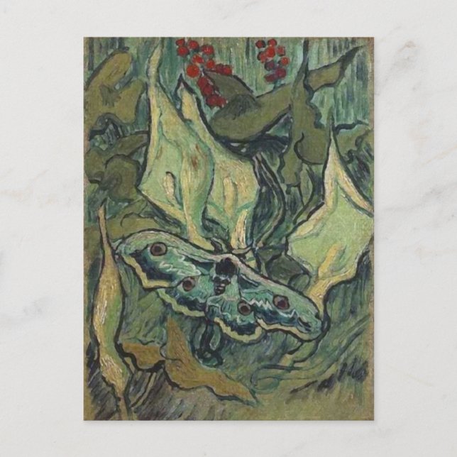 Moth Van Gogh Fine Art Postkarte (Vorderseite)