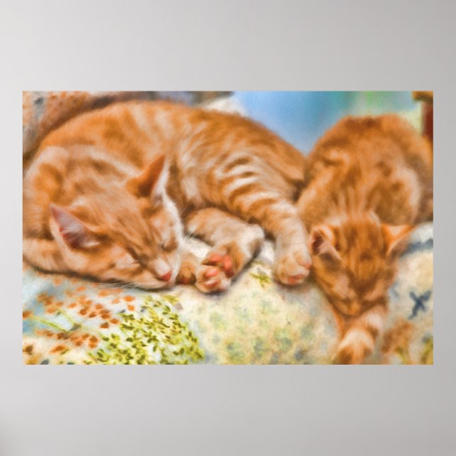 MOTHER CAT KITTEN NICKERCHEN POSTER (Vorne)