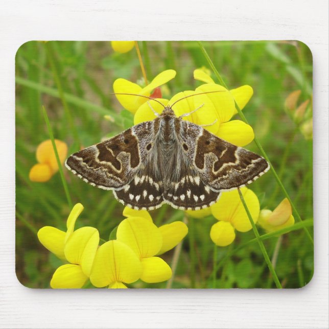 Mother Shipton Moth Mouse Mat Mousepad (Vorne)
