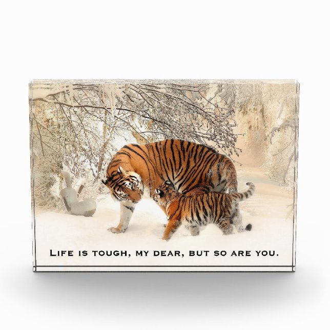 Mother Tiger and Cube Inspirierend Angebot Fotoblock (Vorderseite)