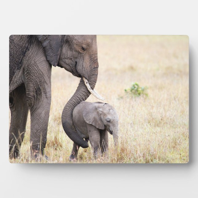 Motherly Love Fotoplatte (Vorderseite)