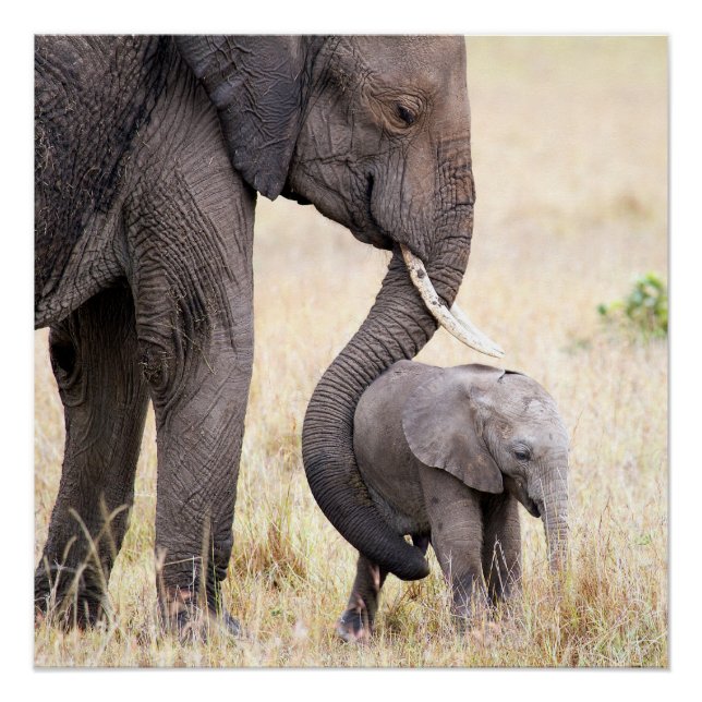 Motherly Love Poster (Vorderseite)