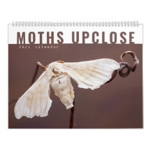 MOTHS UPCLOSE 2021 KALENDER