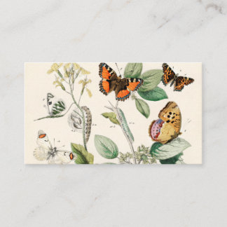 Moths William Forsell Kirby Visitenkarte