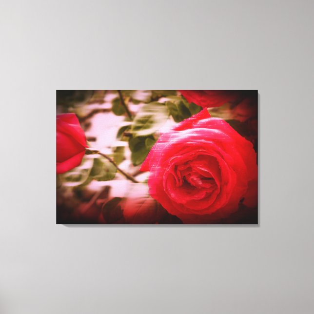 MOTIONSFARBE der Rose auf Leinwand (Vorderseite)