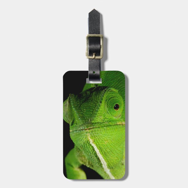 Motiv: Of Flap-Necked Chameleon Gepäckanhänger (Vorderseite vertikal)
