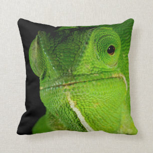 Motiv: Of Flap-Necked Chameleon Kissen