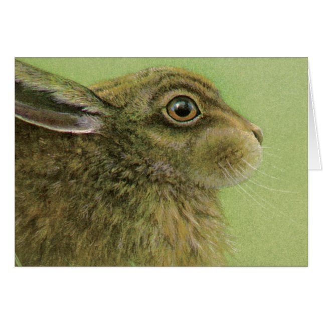 Motiv: Rabbit acrylic painting (Vorderseite (Horizontal))