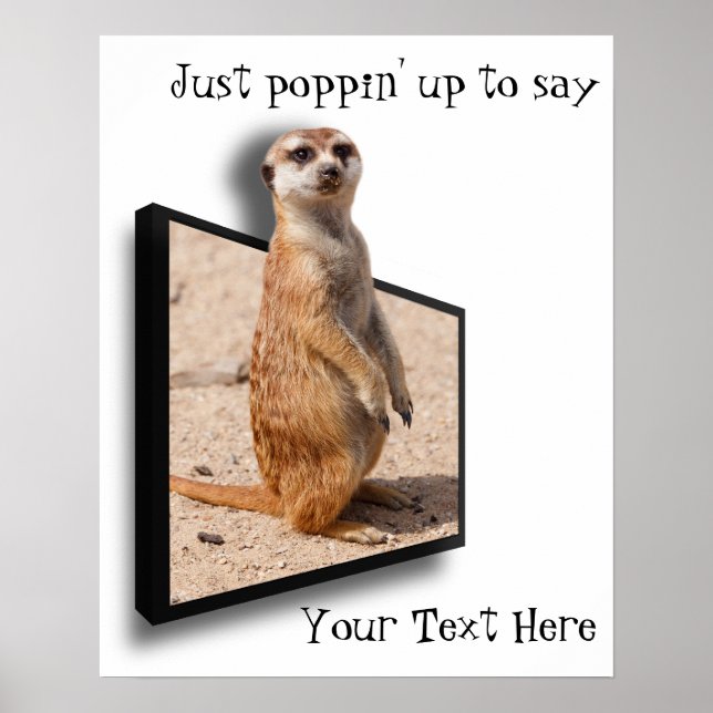 Motivationspopster | 3D Meerkat Sie aufmuntern Poster (Vorne)