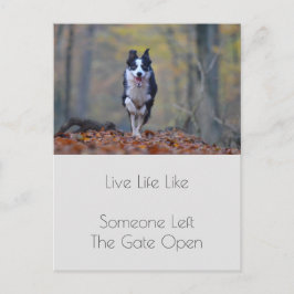 Motivierend Abschluss Hundeleziffer Postkarte