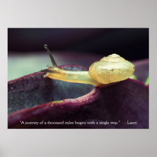 Motivierend Angebotsdauer Poster